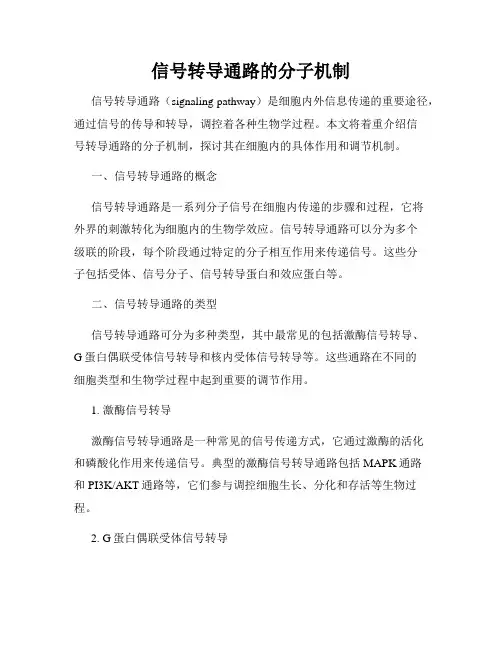 信号转导通路的分子机制