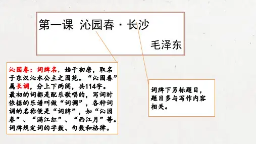 高中语文统编版必修上册1《沁园春 长沙》(共25张ppt)