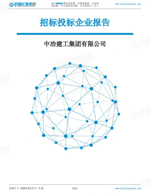 中冶建工集团有限公司-招投标数据分析报告