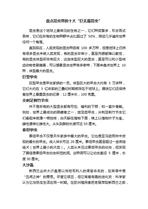 盘点昆虫界的十大“巨无霸昆虫”