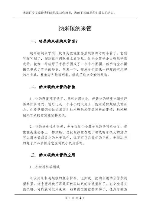 纳米碳纳米管