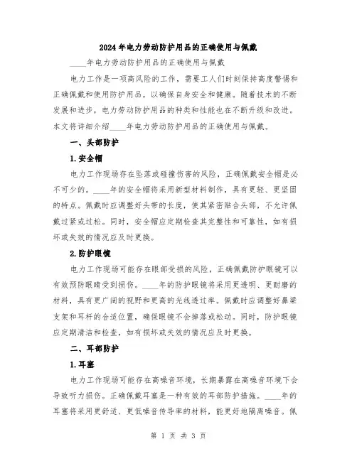 2024年电力劳动防护用品的正确使用与佩戴