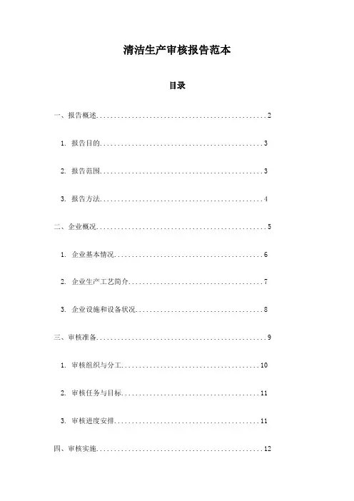 清洁生产审核报告范本