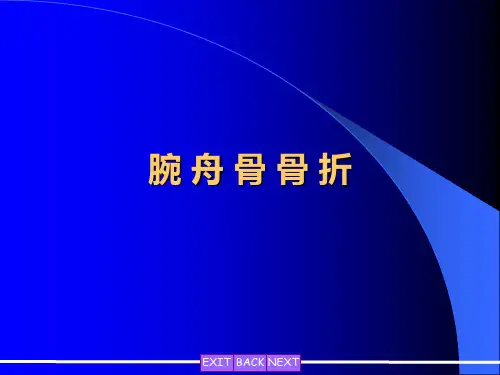 腕舟骨~1