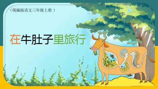 10.《在牛肚子里旅行》课件(共28张PPT)