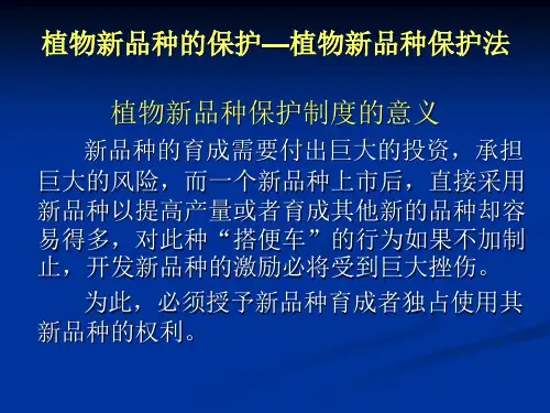 知识产权-植物新品种ppt