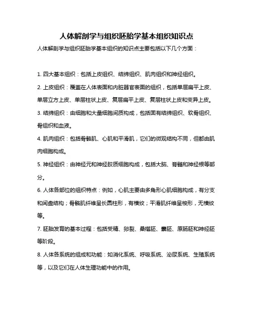 人体解剖学与组织胚胎学基本组织知识点