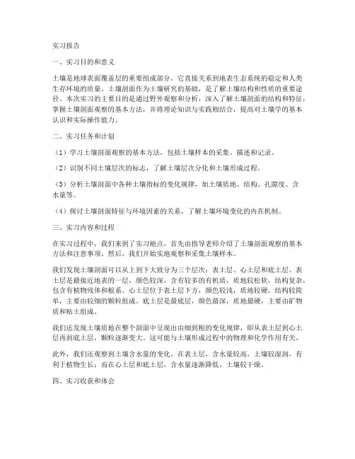 土壤剖面野外观察实习报告