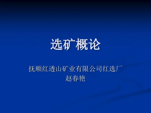 选矿概论