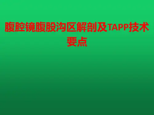 腹腔镜腹股沟区解剖及TAPP技术要点
