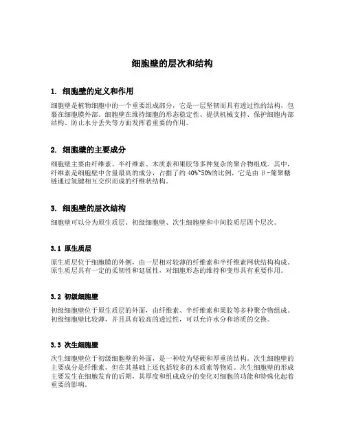 细胞壁的层次和结构