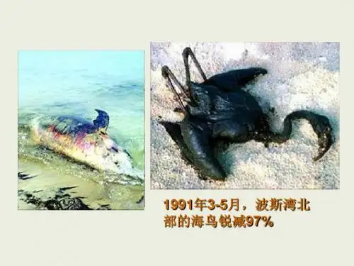 5-7 海湾战争