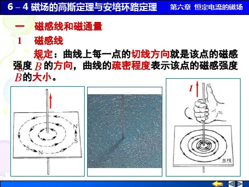 6-4 磁场中的高斯定理与安培环路定理 