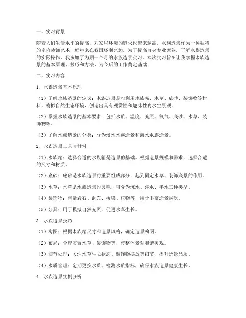 水族造景实习报告