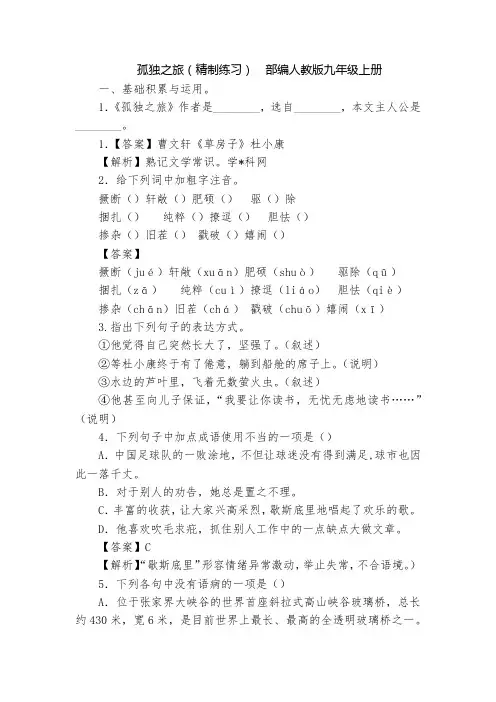 孤独之旅(精制练习)  部编人教版九年级上册