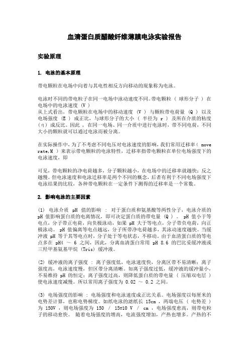 血清蛋白质醋酸纤维薄膜电泳实验报告