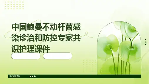 中国鲍曼不动杆菌感染诊治和防控专家共识护理课件