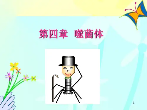 第四章 噬菌体PPT课件