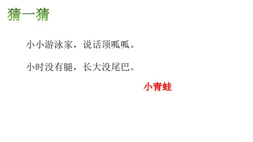 部编语文一年级下册《小青蛙》课件