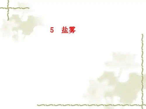 盐雾(讲稿5)