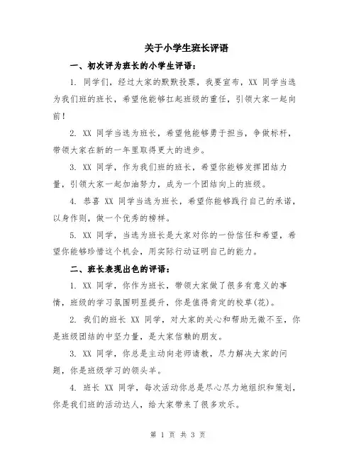关于小学生班长评语