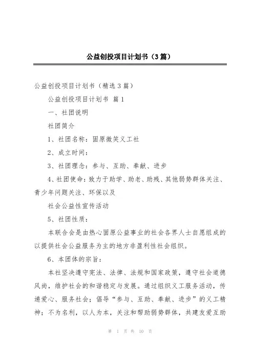 公益创投项目计划书(3篇)