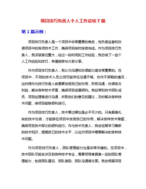 项目技巧负责人个人工作总结7篇