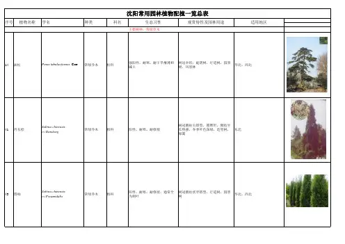 沈阳常规园林植物配植一览总表