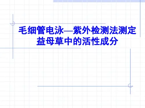 毛细管电泳—紫外检测法测定
