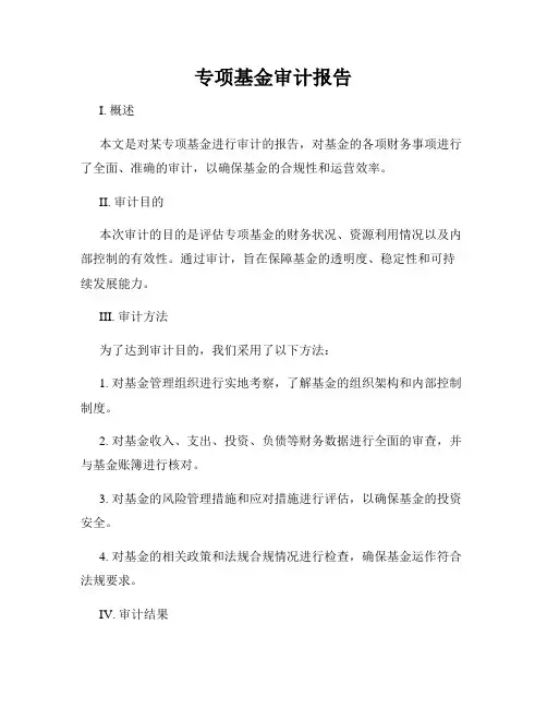 专项基金审计报告