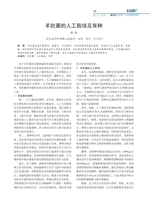 羊肚菌的人工栽培及育种