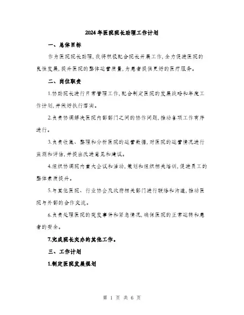 2024年医院院长助理工作计划(二篇)