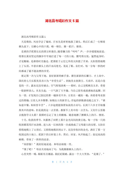 湖北高考精彩作文5篇