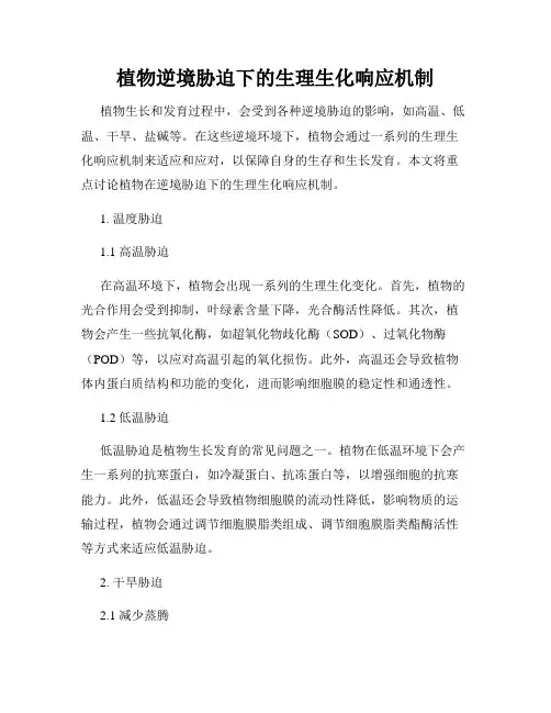 植物逆境胁迫下的生理生化响应机制