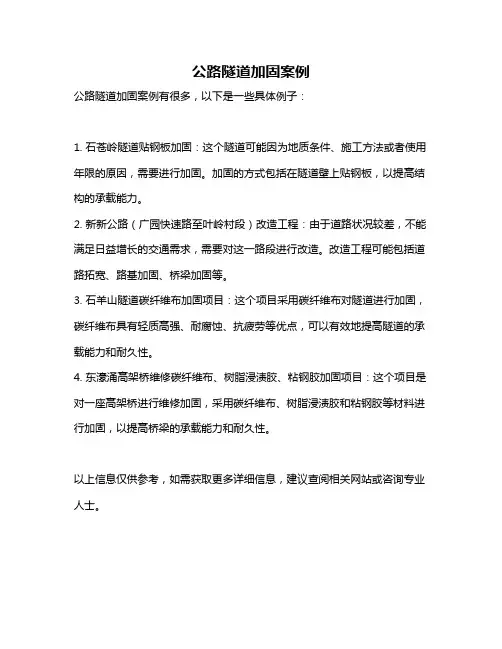 公路隧道加固案例