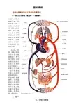 10-血液循环系统