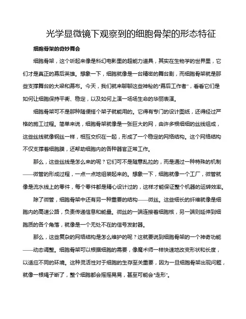 光学显微镜下观察到的细胞骨架的形态特征