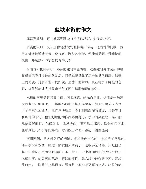 盐城水街的作文
