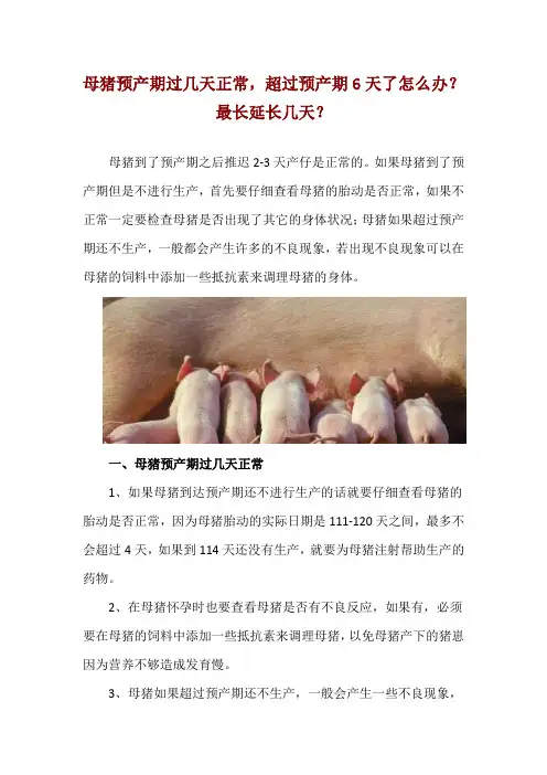 母猪预产期过几天正常,超过预产期6天了怎么办？最长延长几天？