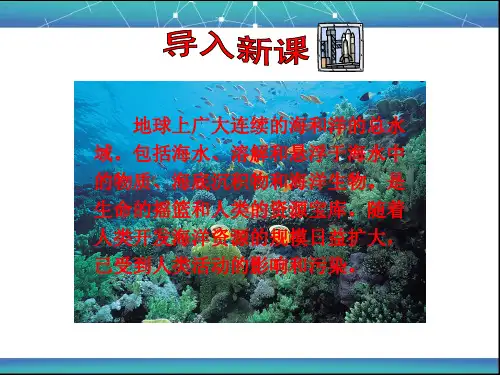 6.2 海洋环境问题与环境保护