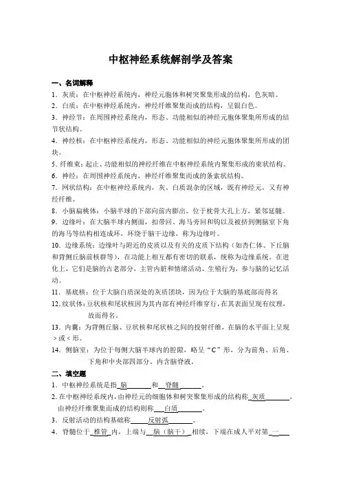 中枢神经系统解剖学及答案