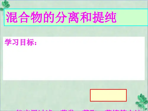 混合物的分离和提纯(课件PPT)