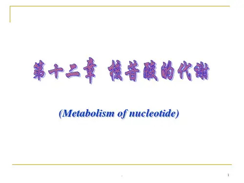 第十二章-核苷酸代谢PPT课件