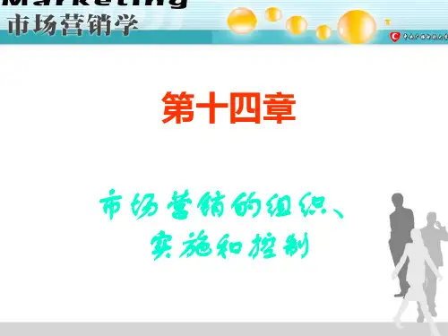 市场营销学--市场营销审计