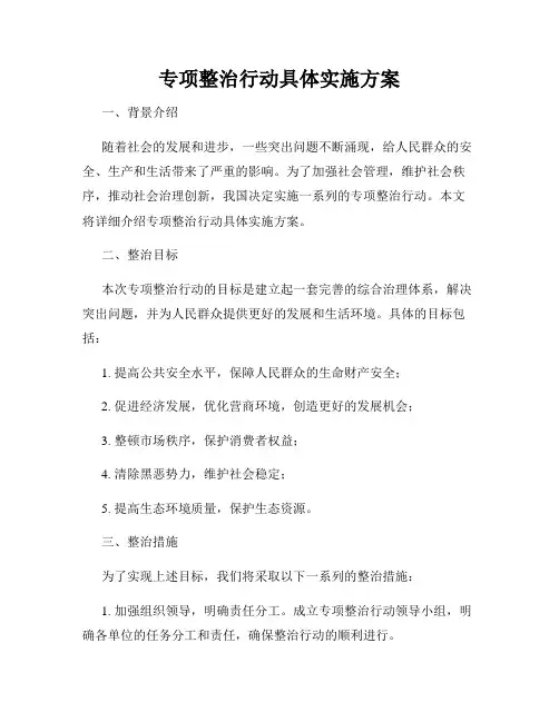 专项整治行动具体实施方案