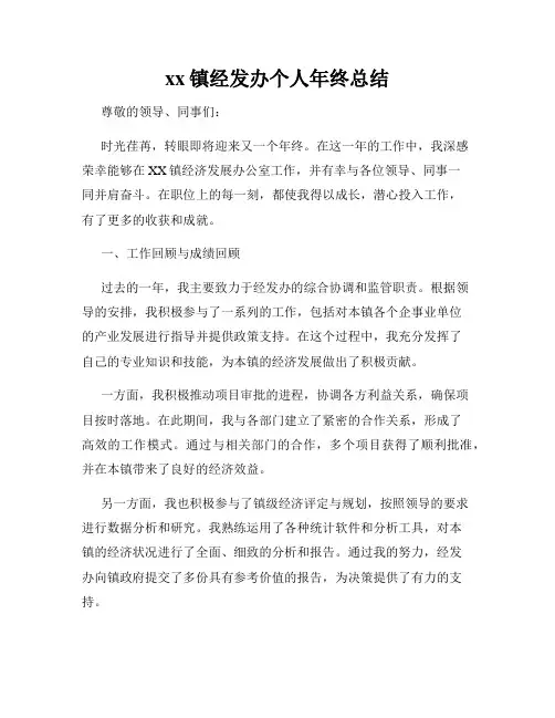 xx镇经发办个人年终总结