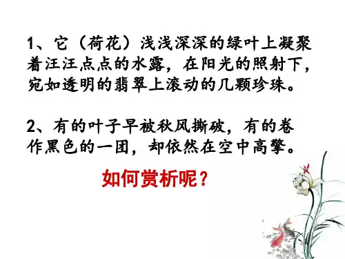 中考语文专题复习：现代文阅读语句赏析专题讲解(共52张PPT)