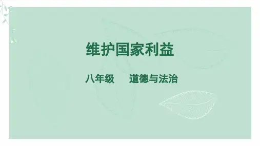 维护国家利益+课件-2020年秋人教部编版八年级道德与法治上册