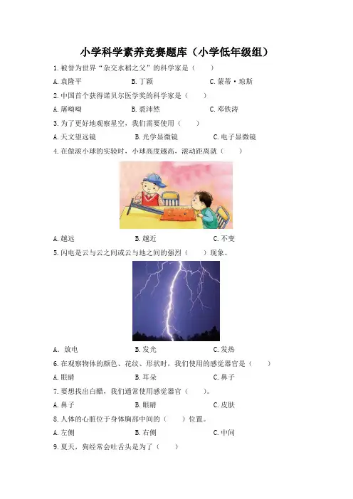 小学科学素养竞赛题库+答案(小学低年级组)