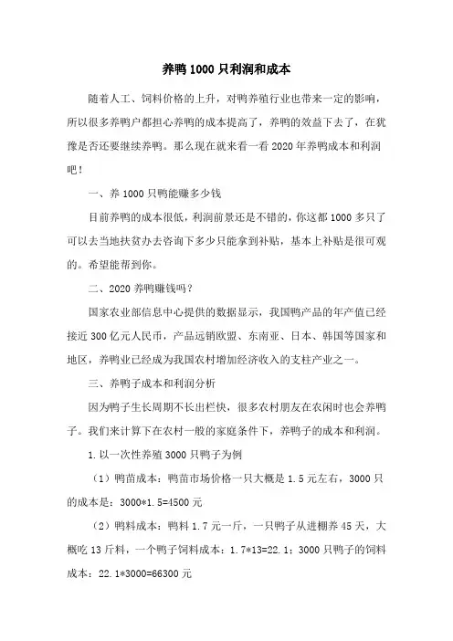 养鸭1000只利润和成本